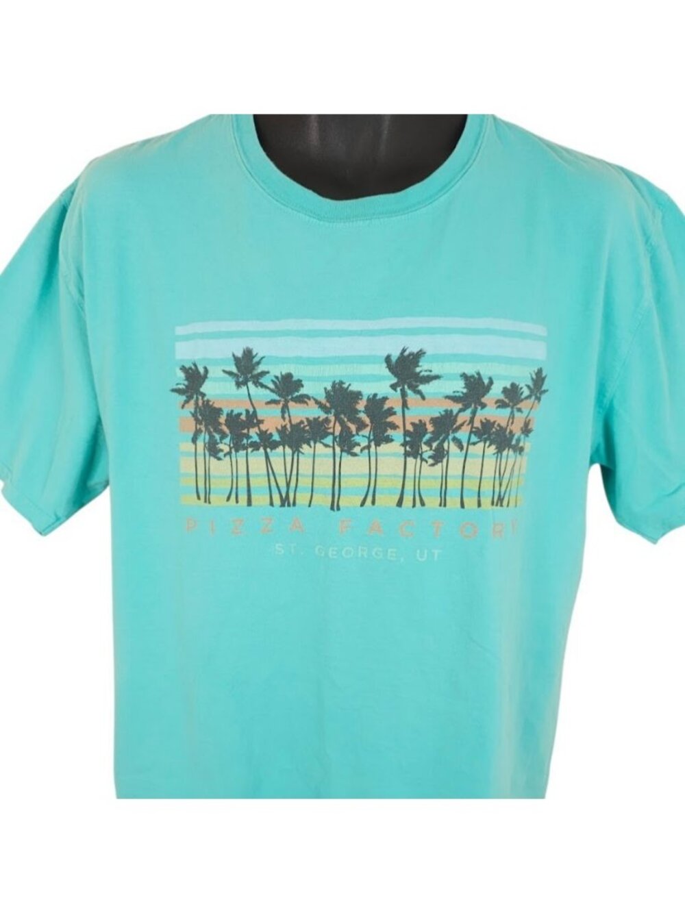 St George Utah T Shirt Mens Size Large Blue Pizza Factory Travel Destination Tee